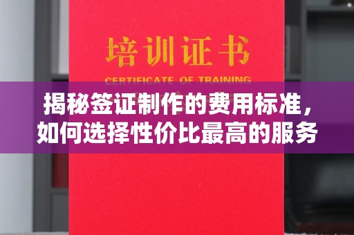 锦屏揭秘签证制作的费用标准，如何选择性价比最高的服务？