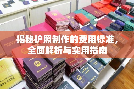 锦屏揭秘护照制作的费用标准，全面解析与实用指南