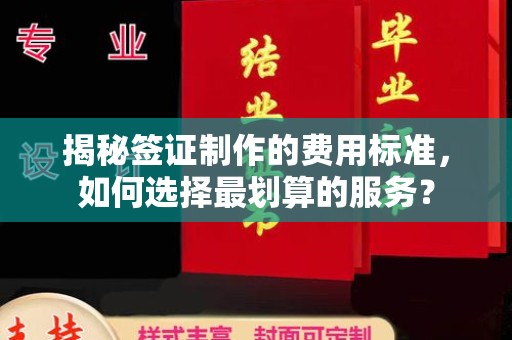 锦屏揭秘签证制作的费用标准，如何选择最划算的服务？